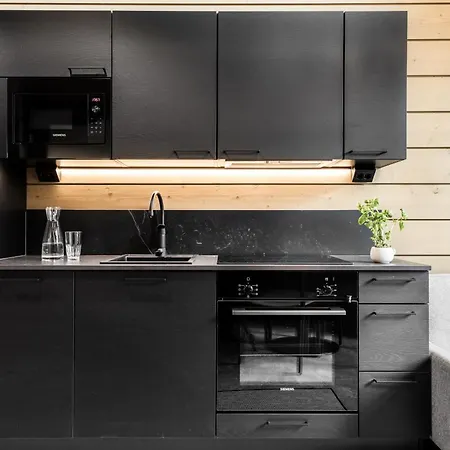 Levin Lyhty Bria B3 By Hilla 公寓 列维