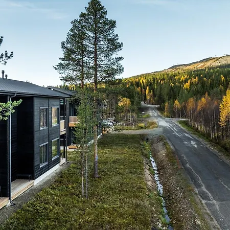 Levin Lyhty Bria B3 By Hilla *